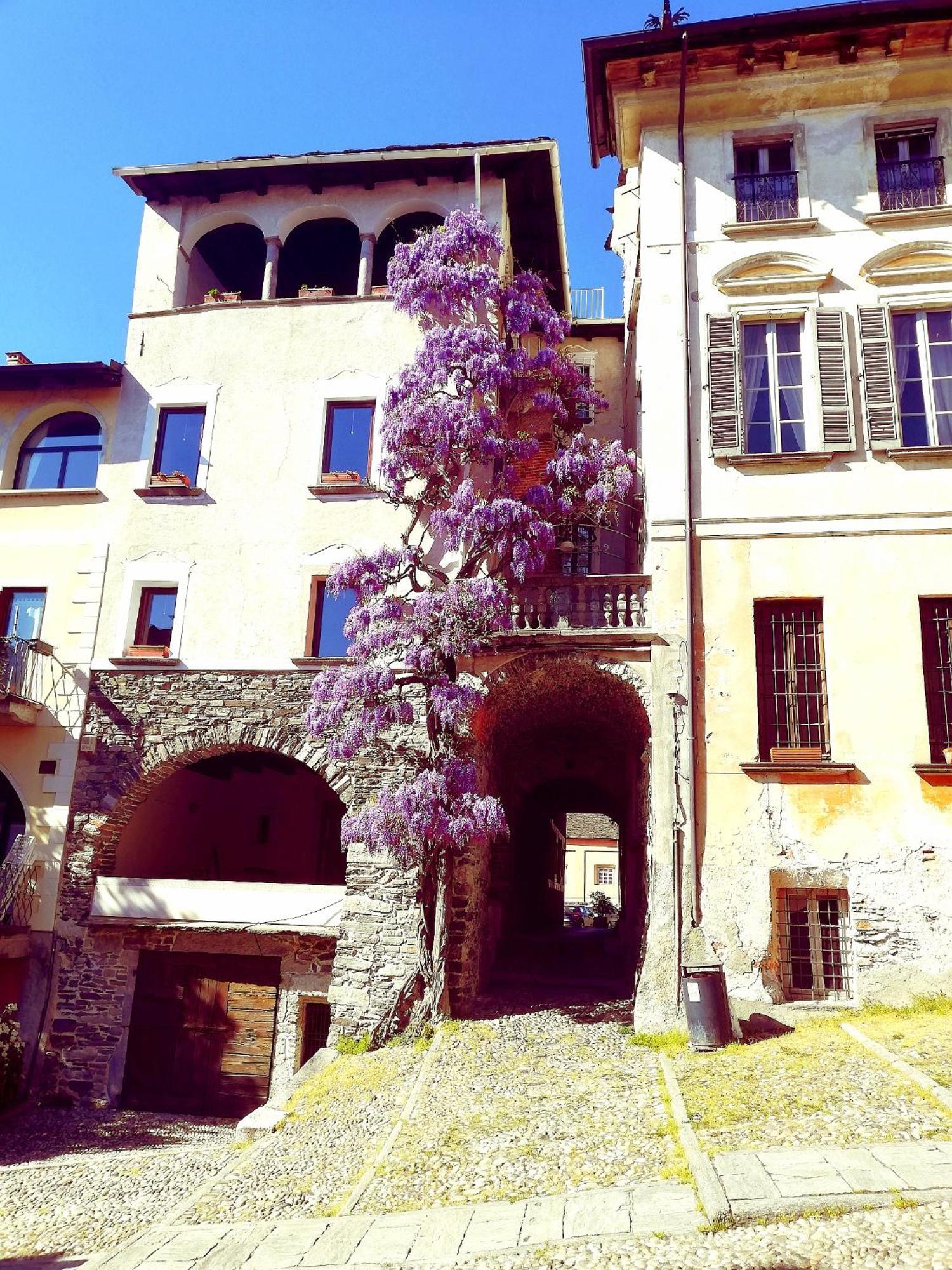 Casa Longhi Διαμέρισμα Orta San Giulio Εξωτερικό φωτογραφία